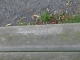 Lombardstr 02